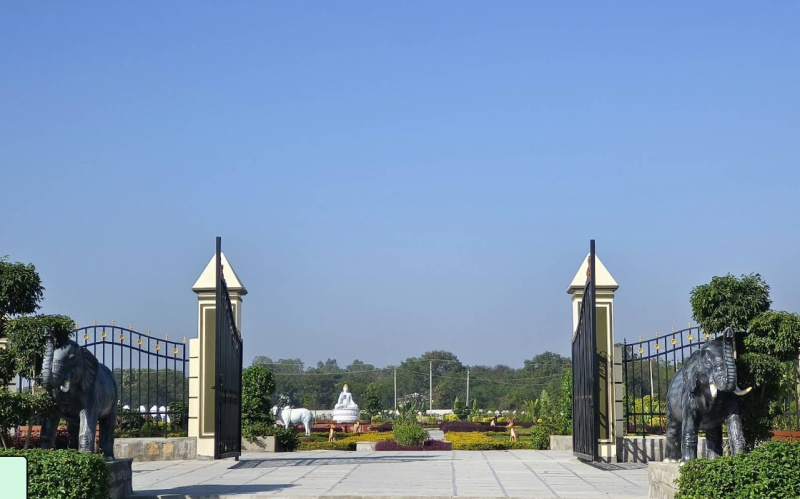  188 Sq. Yards Residential Plot for Sale in Rudraram, Hyderabad