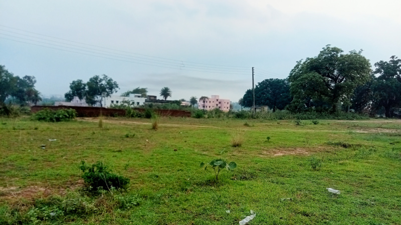  Residential Plot 5000 Katha for Sale in BHELATAND, Dhanbad