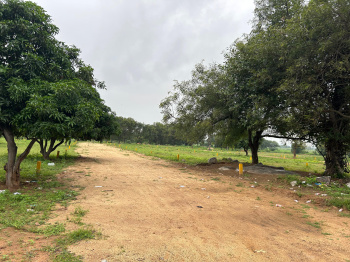  Agricultural Land for Sale in Patancheru, Hyderabad
