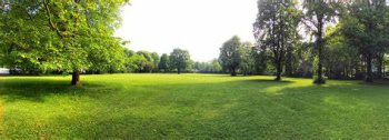  Residential Plot for Sale in Gomti Nagar, Lucknow