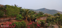  Agricultural Land for Sale in Shrivardhan, Raigad