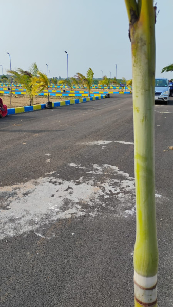  1200 Sq.ft. Residential Plot for Sale in Ponneri, Thiruvallur