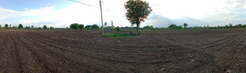  Agricultural Land for Sale in Katol, Nagpur