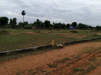  Residential Plot for Sale in Nallavanpalayam, Tiruvannamalai