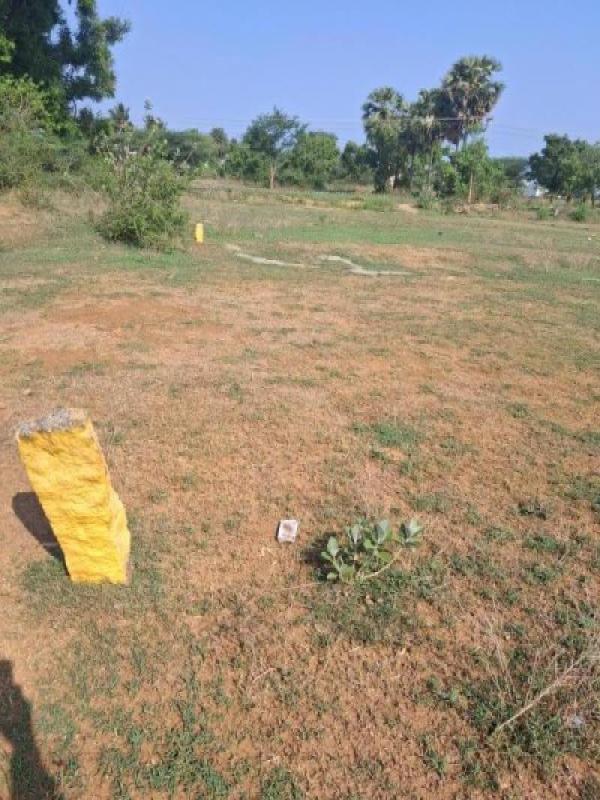  Residential Plot 851 Sq.ft. for Sale in Bagayam, Vellore