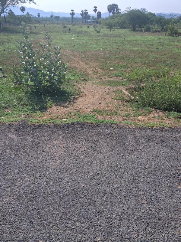  Residential Plot 851 Sq.ft. for Sale in Bagayam, Vellore