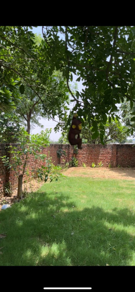  Residential Plot 198 Sq. Yards for Sale in Pataudi, Gurgaon