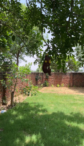 1 RK Farm House 1 Acre for Sale in Bilaspur, Gurgaon