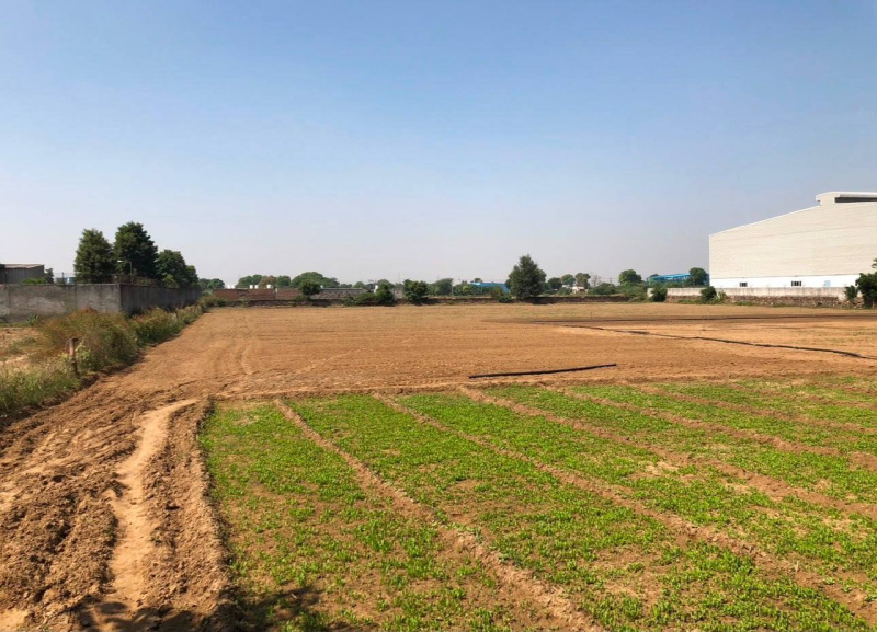 Bhatsana, Rewari photo 3
