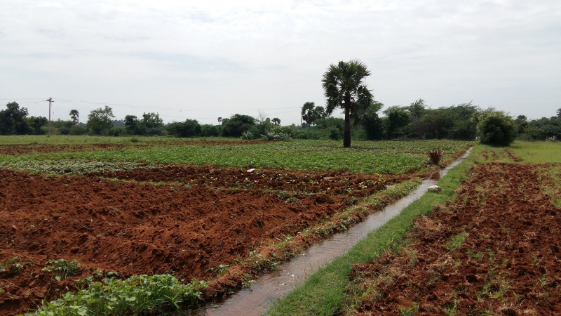 Bhatsana, Rewari photo 5