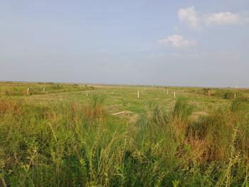  Agricultural Land for Sale in Nawanagar, Buxar