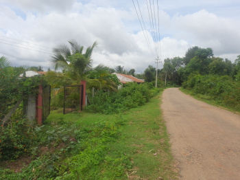  Agricultural Land for Sale in Bilikere, Mysore