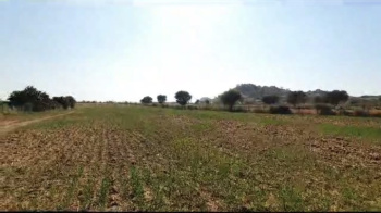  Agricultural Land for Sale in Pushkar, Ajmer