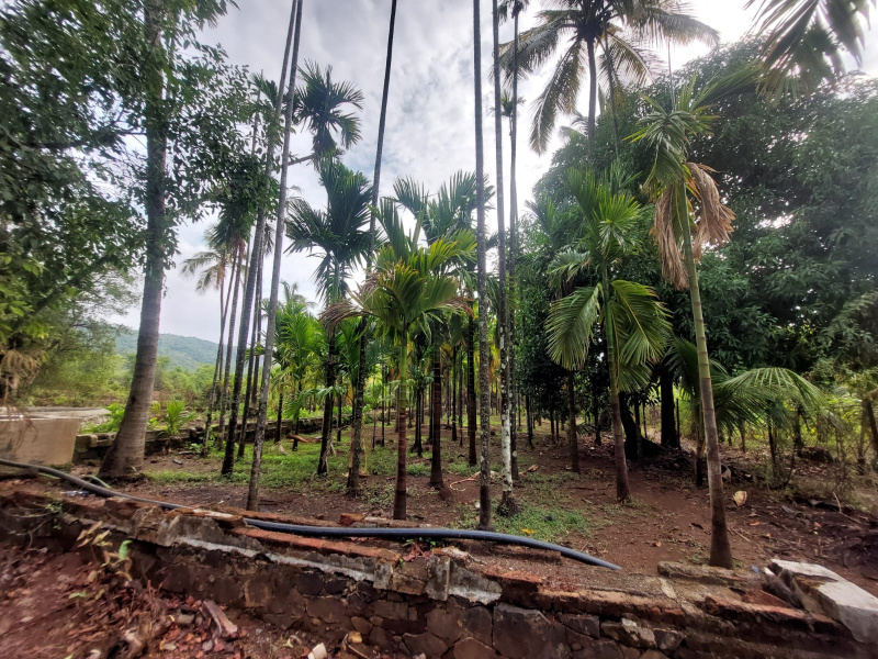  Agricultural Land 1 Guntha for Sale in Murud, Raigad
