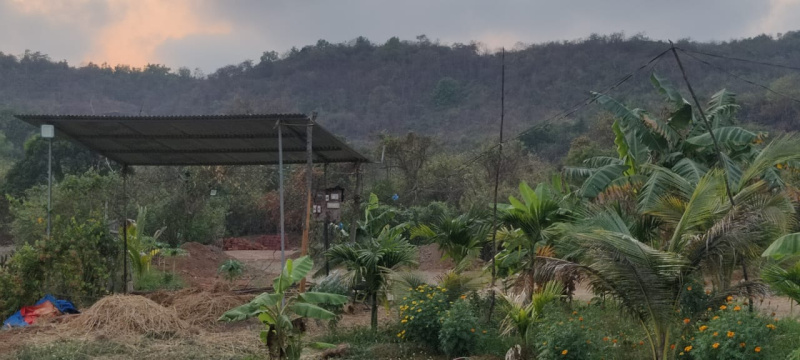  Agricultural Land 1 Guntha for Sale in Murud, Raigad