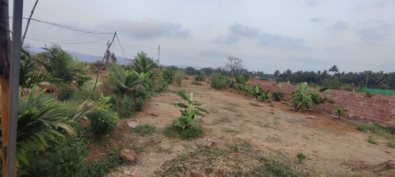  Agricultural Land 1 Guntha for Sale in Murud, Raigad