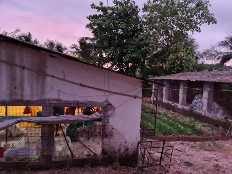  15 Acre Agricultural/Farm Land for Sale in Panvel, Raigad