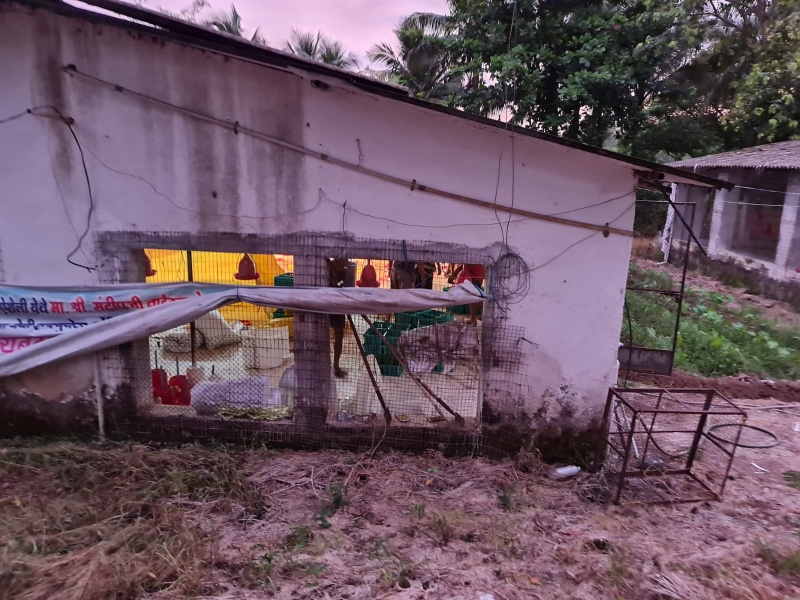  15 Acre Agricultural/Farm Land for Sale in Panvel, Raigad