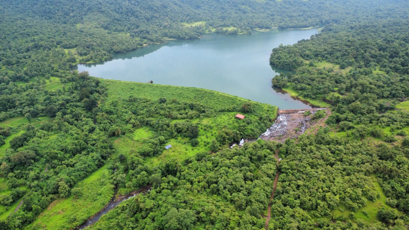  13 Guntha Residential Plot for Sale in Alibag, Raigad