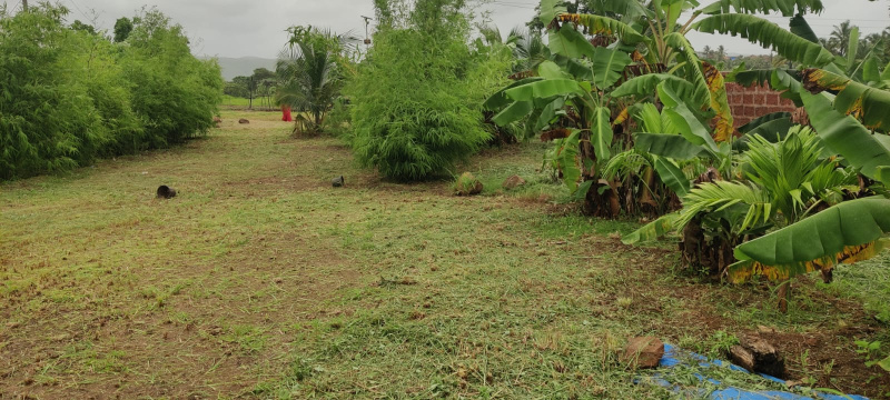  80 Guntha Agricultural/Farm Land for Sale in Zirad, Raigad