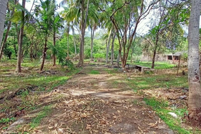  60 Guntha Residential Plot for Sale in Kihim, Raigad