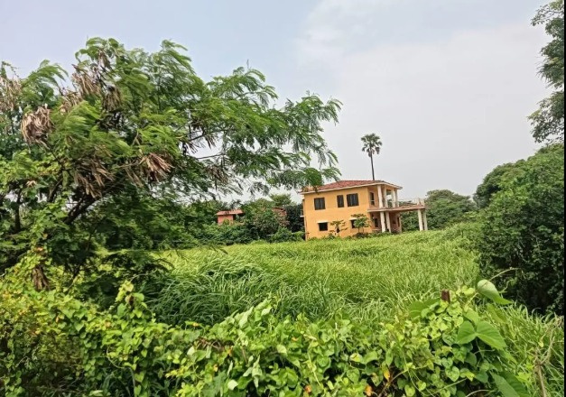  9 Acre Agricultural/Farm Land for Sale in Kihim, Raigad