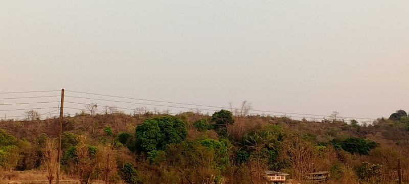  500 Acre Residential Plot for Sale in Mahad, Raigad