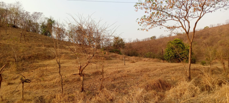  500 Acre Residential Plot for Sale in Mahad, Raigad