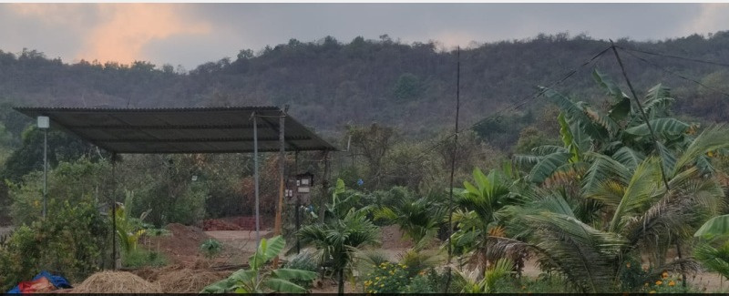  55 Sq.ft. Agricultural/Farm Land for Sale in Murud, Raigad