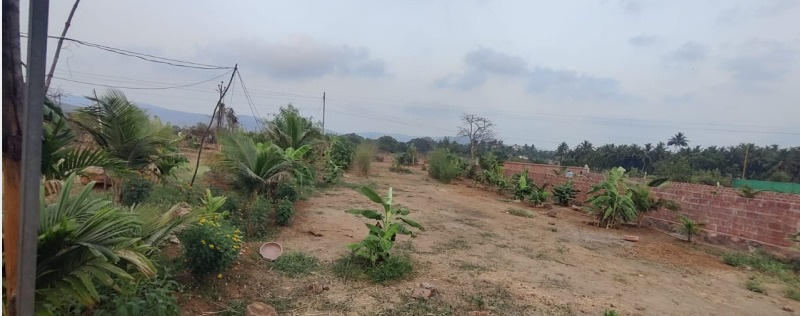  55 Sq.ft. Agricultural/Farm Land for Sale in Murud, Raigad
