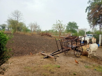  Agricultural Land for Sale in Katol, Nagpur
