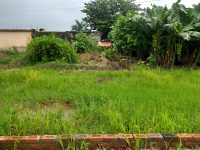  Residential Plot for Sale in Dineshpur, Udham Singh Nagar
