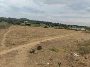  Agricultural Land for Sale in Denkanikottai Road, Hosur