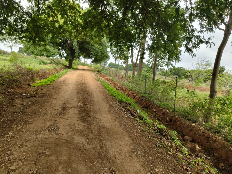 Thalli, Hosur photo 3