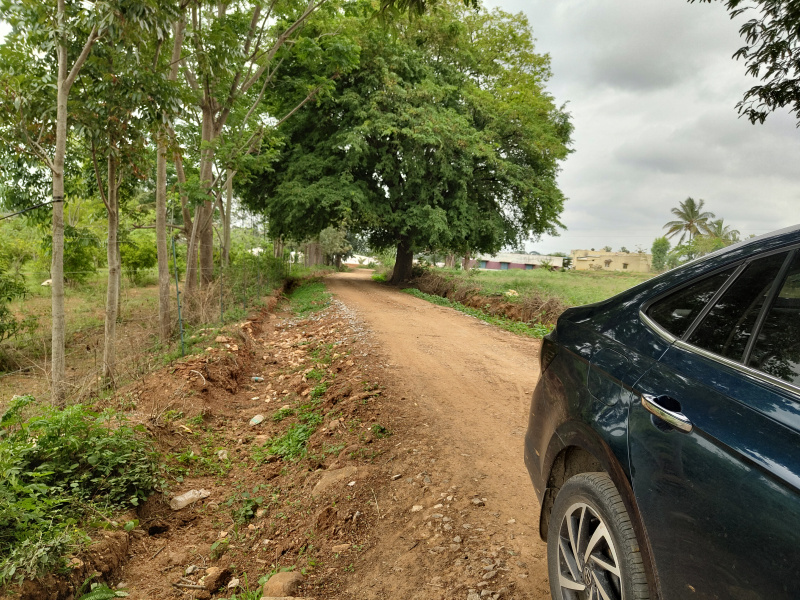 Thalli, Hosur photo 4