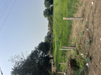  Residential Plot for Sale in Acharpura, Bhopal