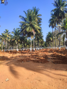  Agricultural Land for Sale in Gauribidanur, Bangalore