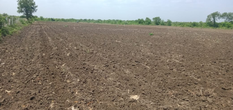 Agricultural Land 33 Bigha for Sale in