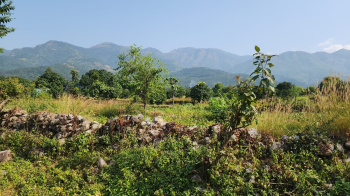  Agricultural Land for Sale in Ramnagar, Nainital