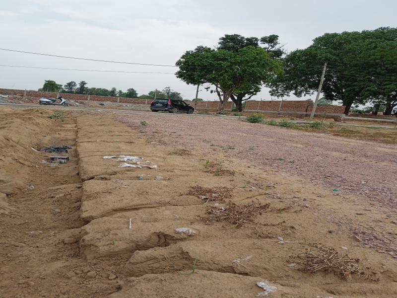  Residential Plot 300 Sq. Yards for Sale in Garhi Harsaru, Gurgaon