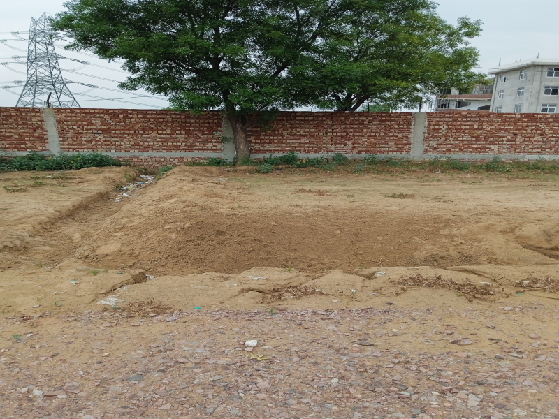 Residential Plot 300 Sq. Yards for Sale in Garhi Harsaru, Gurgaon