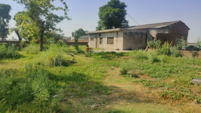  Warehouse 20000 Sq.ft. for Rent in Bishnah, Jammu