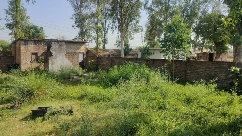  Warehouse 20000 Sq.ft. for Rent in Bishnah, Jammu