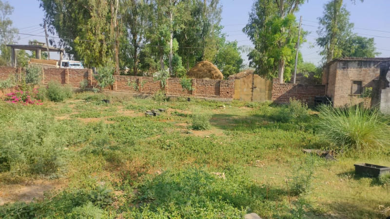  Warehouse 20000 Sq.ft. for Rent in Bishnah, Jammu