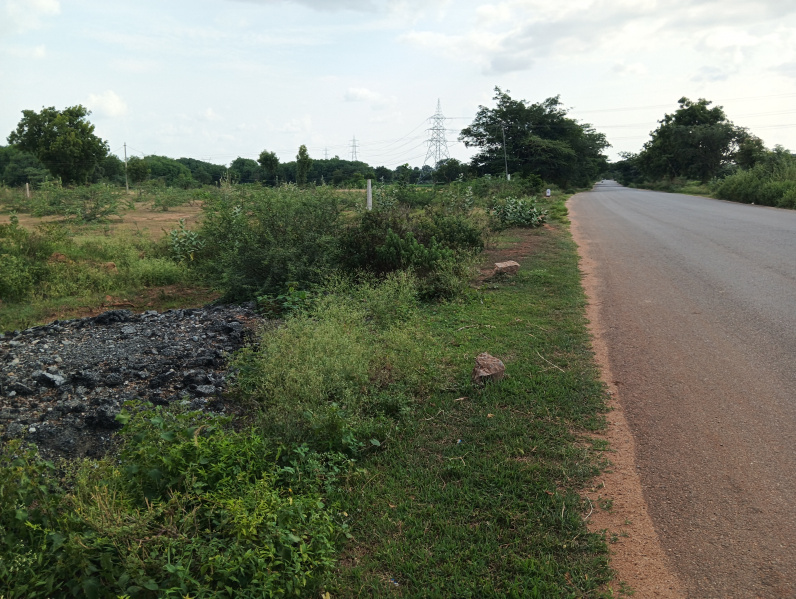  Agricultural Land 3 Acre for Sale in Penukonda, Anantapur