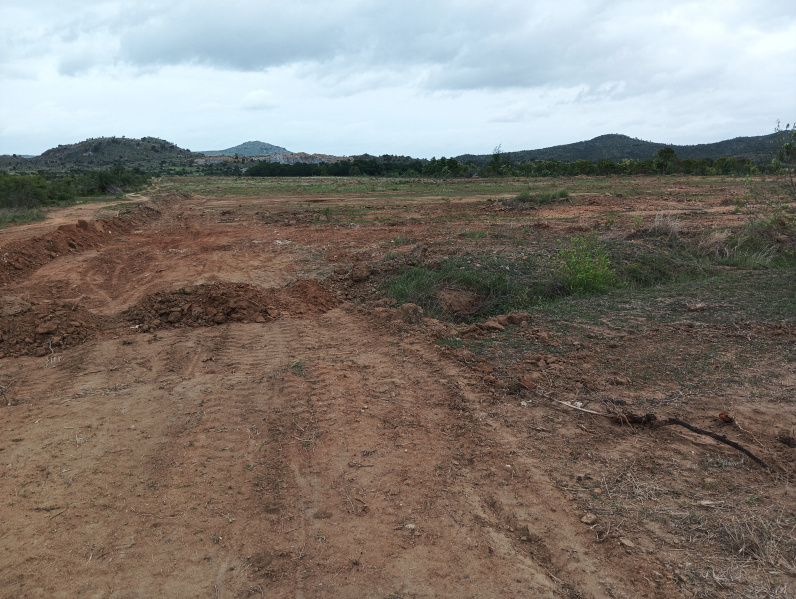  Agricultural Land 13 Acre for Sale in Palasamudram, Anantapur