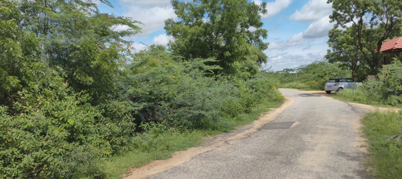  Agricultural Land 4 Acre for Sale in Lepakshi, Anantapur