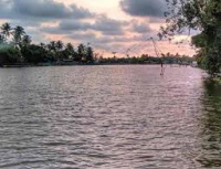  Agricultural Land for Sale in Kadamakkudy, Ernakulam