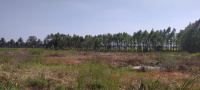  Agricultural Land for Sale in Narasapura, Kolar