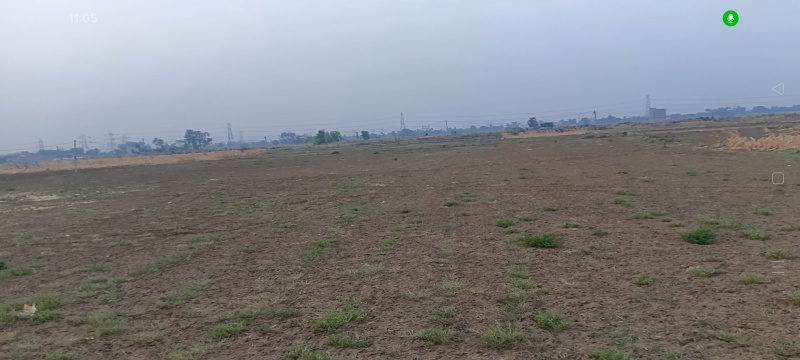  Commercial Land 100000 Sq.ft. for Rent in Beldari Chak, Patna
